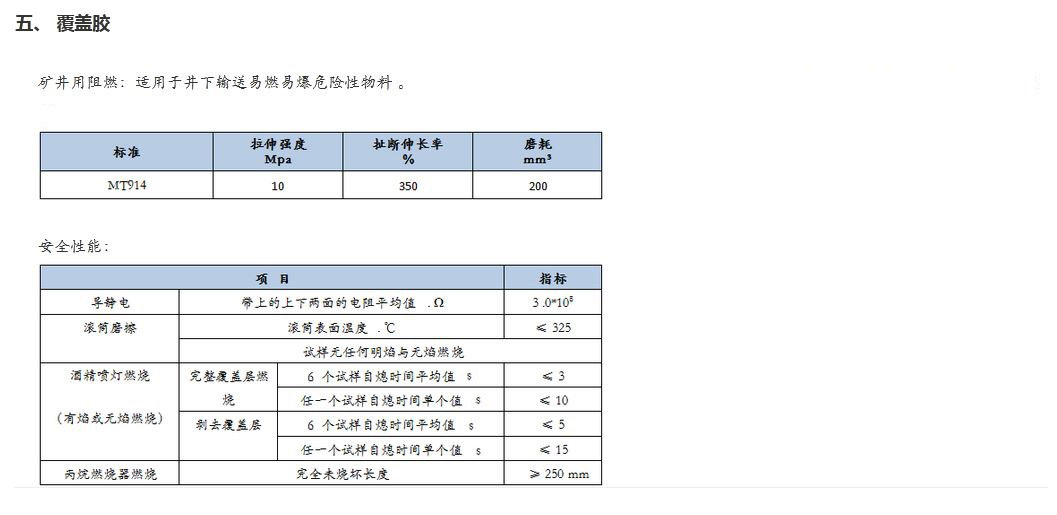 PVC&PVG整芯阻燃輸送帶3.JPG